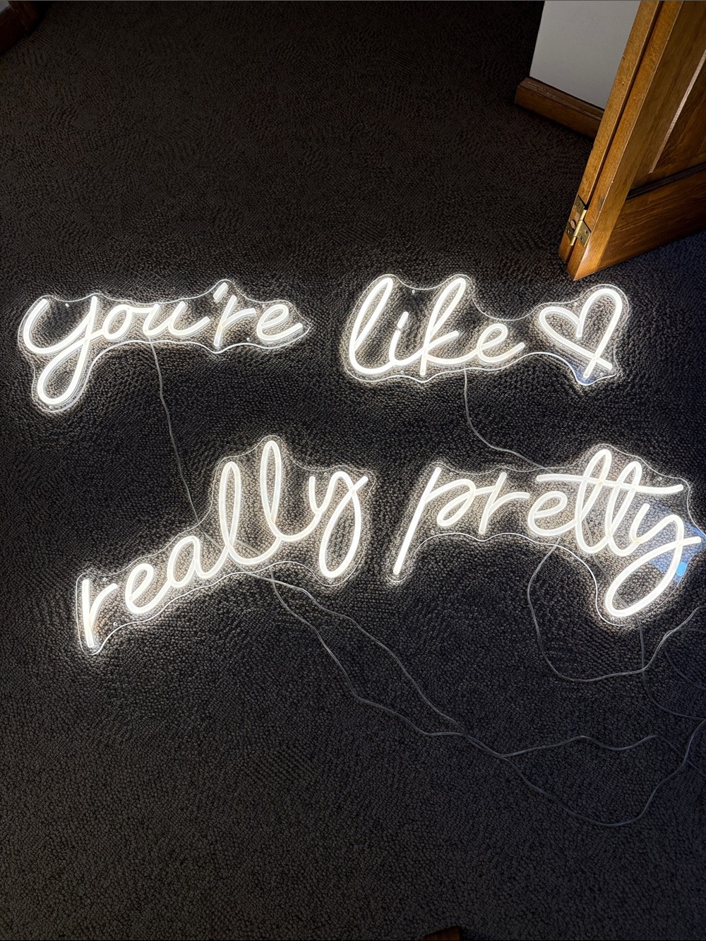 You’re Like Really Pretty neon sign